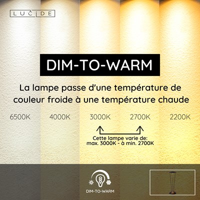Lucide RENEE - Lampe de table Rechargeable Intérieur/Extérieur - Batterie/Piles - Ø 12,3 cm - LED Dim to warm - 1x2,2W 2700K/3000K - IP54 - Avec station de charge sans fil - Noir